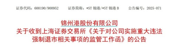 泸深在线 600190，将被实施重大违法强制退市！今天股票还涨停了！