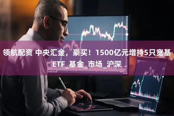 领航配资 中央汇金，豪买！1500亿元增持5只宽基ETF_基金_市场_沪深