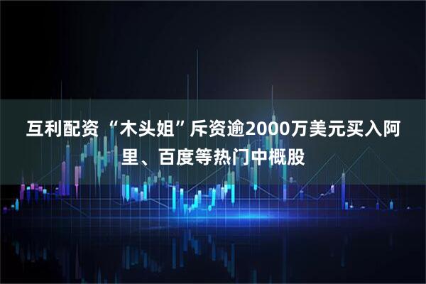 互利配资 “木头姐”斥资逾2000万美元买入阿里、百度等热门中概股