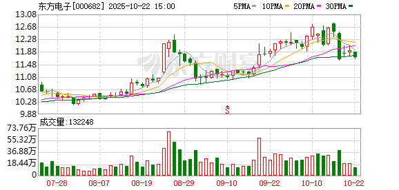 鑫赢智投 东方电子：第十一届董事会第十二次会议决议公告
